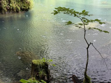Doğanın güzel manzarası