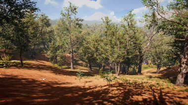 Sürdürülebilir çevre ve ekosistem koruması. Arazinin 3D görüntülemesi