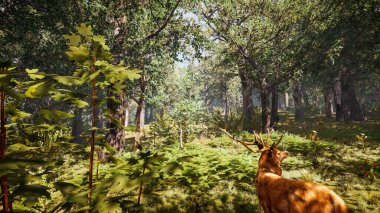 Sürdürülebilir kalkınma hedefleri, biyolojik çeşitlilik, büyüyen bir ekonomi ve ekoloji için grafiksel kaynaklar. 3 Boyutlu Hazırlama