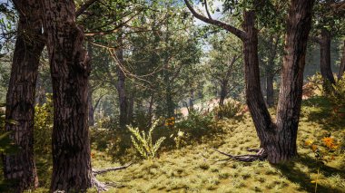 Sürdürülebilir kalkınma hedefleri, biyolojik çeşitlilik, büyüyen bir ekonomi ve ekoloji için grafiksel kaynaklar. 3 Boyutlu Hazırlama