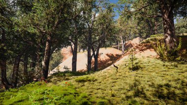 Sürdürülebilir kalkınma hedefleri, biyolojik çeşitlilik, büyüyen bir ekonomi ve ekoloji için grafiksel kaynaklar. 3 Boyutlu Hazırlama