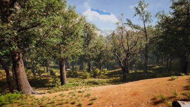 Sürdürülebilir kalkınma hedefleri, biyolojik çeşitlilik, büyüyen bir ekonomi ve ekoloji için grafiksel kaynaklar. 3 Boyutlu Hazırlama