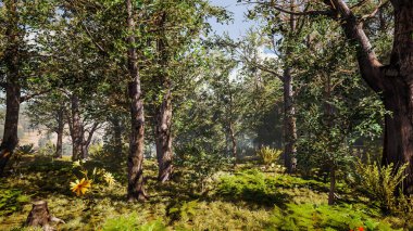 Sürdürülebilir kalkınma hedefleri, biyolojik çeşitlilik, büyüyen bir ekonomi ve ekoloji için grafiksel kaynaklar. 3 Boyutlu Hazırlama