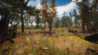 Ekoloji ve sürdürülebilir kalkınma için altyapı, biyolojik çeşitliliği ve büyüyen ekonomiyi korumak için çevre kavramı. 3B Hazırlama