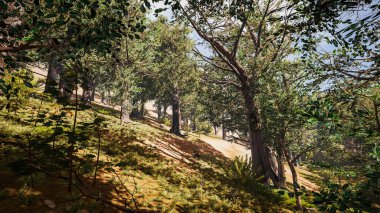 Sürdürülebilir kalkınma hedefleri, biyolojik çeşitlilik, büyüyen bir ekonomi ve ekoloji için grafiksel kaynaklar. 3 Boyutlu Hazırlama