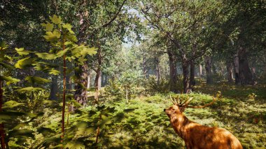 Sürdürülebilir kalkınma hedefleri, biyolojik çeşitlilik, büyüyen bir ekonomi ve ekoloji için grafiksel kaynaklar. 3 Boyutlu Hazırlama