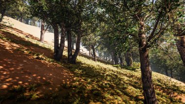 Sürdürülebilir kalkınma hedefleri, biyolojik çeşitlilik, büyüyen bir ekonomi ve ekoloji için grafiksel kaynaklar. 3 Boyutlu Hazırlama