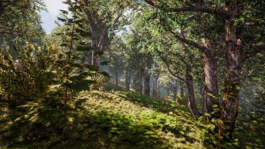 Sürdürülebilir kalkınma hedefleri, biyolojik çeşitlilik, büyüyen bir ekonomi ve ekoloji için grafiksel kaynaklar. 3 Boyutlu Hazırlama