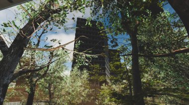 Sürdürülebilir kalkınma hedefleri, biyolojik çeşitlilik, büyüyen bir ekonomi ve ekoloji için grafiksel kaynaklar. 3 Boyutlu Hazırlama