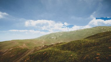 3 boyutlu görüntüleme. Ağaçsız yeşil bir adanın doğal ortamı. Sürdürülebilir kalkınma hedefleri ve ekosistem korumasını göstermek için arka plan.