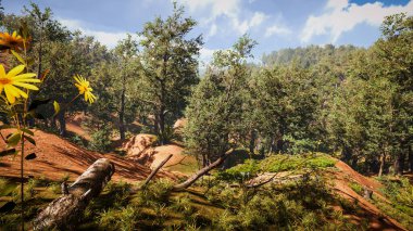 Sürdürülebilir kalkınma hedefleri, biyolojik çeşitlilik, büyüyen bir ekonomi ve ekoloji için grafiksel kaynaklar. 3 Boyutlu Hazırlama