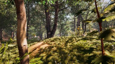 Ekoloji ve sürdürülebilir kalkınma için 3D Render Arka planı, biyolojik çeşitliliği ve büyüyen ekonomiyi korumak için çevre kavramı