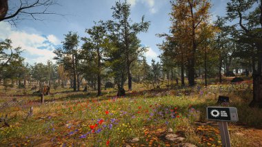 Ekoloji ve sürdürülebilir kalkınma için 3D Render Arka planı, biyolojik çeşitliliği ve büyüyen ekonomiyi korumak için çevre kavramı