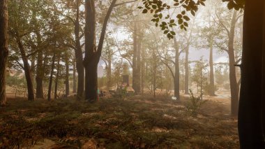 Ekoloji ve sürdürülebilir kalkınma için 3D Render Arka planı, biyolojik çeşitliliği ve büyüyen ekonomiyi korumak için çevre kavramı