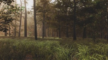 Ekoloji ve sürdürülebilir kalkınma için 3D Render Arka planı, biyolojik çeşitliliği ve büyüyen ekonomiyi korumak için çevre kavramı