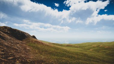 Ekoloji ve sürdürülebilir kalkınma için 3D Render Arka planı, biyolojik çeşitliliği ve büyüyen ekonomiyi korumak için çevre kavramı