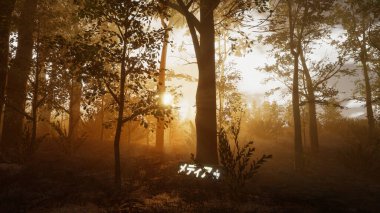 Ekoloji ve sürdürülebilir kalkınma için 3D Render Arka planı, biyolojik çeşitliliği ve büyüyen ekonomiyi korumak için çevre kavramı