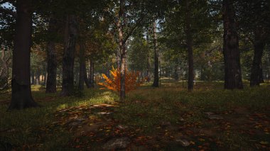 Ekoloji ve sürdürülebilir kalkınma için 3D Render Arka planı, biyolojik çeşitliliği ve büyüyen ekonomiyi korumak için çevre kavramı