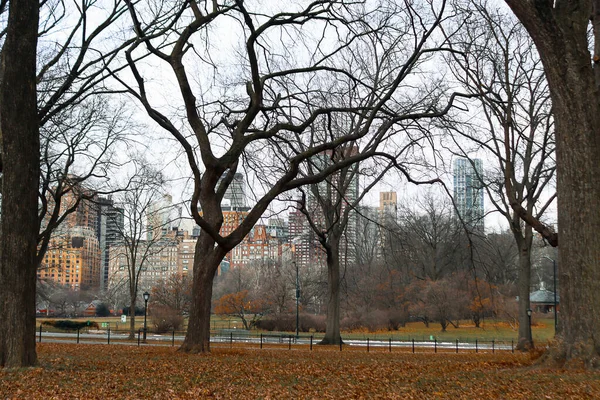 New York Abd Ocak 2022 Şehrin Sokakların Manzarası — Stok fotoğraf