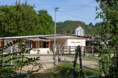 Perigueux, Dordogne, Fransa 06 Mayıs 2023: Sokak fotoğrafçılığı