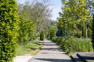 Perigueux, Dordogne, Fransa 18 Mayıs 2023: Sokak manzarası