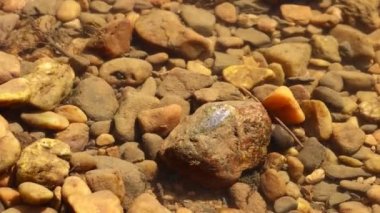 Dordogne, Fransa 30 Mayıs 2023: Tatlı su akıntıları boyunca hayatı anlamak ve korumak