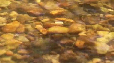 Dordogne, Fransa 30 Mayıs 2023: Tatlı su akıntıları boyunca hayatı anlamak ve korumak