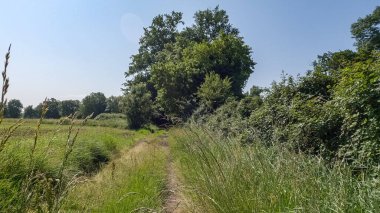 Perigueux, Dordogne, Fransa 30 Mayıs 2023: Büyüleyici Şehir Manzaraları: Perigueux Şehir Yolları