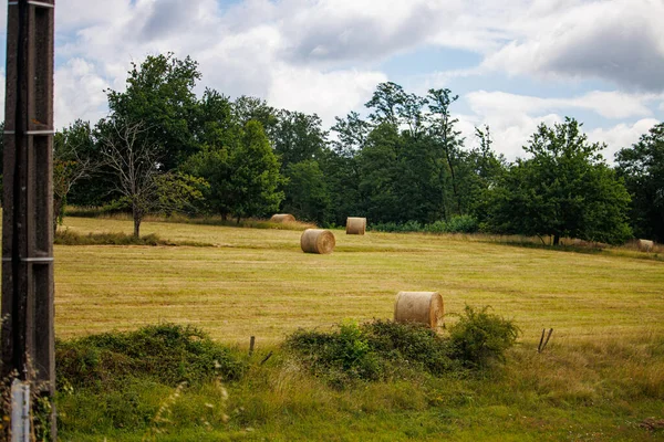 Dordogne Franciaország Július 2023 Hay Bales Scattered Buja Field Countryside — Stock Fotó