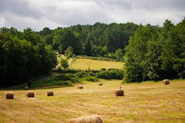 Dordogne, Fransa Temmuz 04. 2023: Orman Arkaplanlı Saman Balyaları