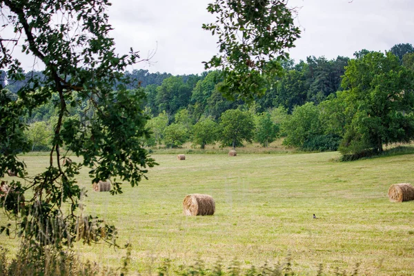 Dordogne França Julho 2023 Campo Campo Com Fardos Feno Empilhados — Fotografia de Stock