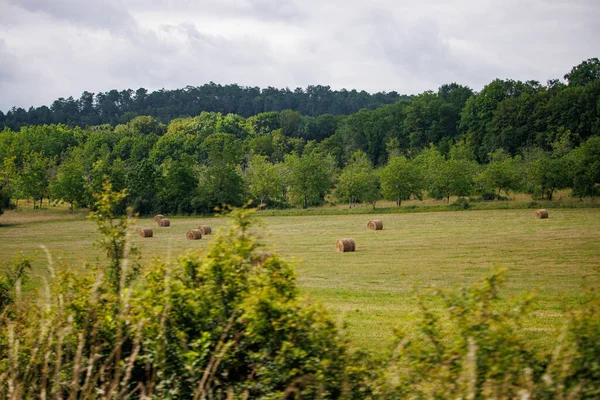 Dordogne Franciaország Július 2023 Vidéki Mező Szénabálákkal — Stock Fotó