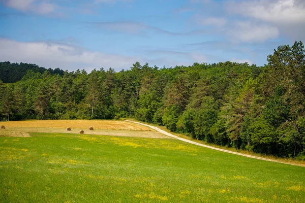 프랑스 도르도뉴 2023 Countryside 초원의 아름다운 — 스톡 사진