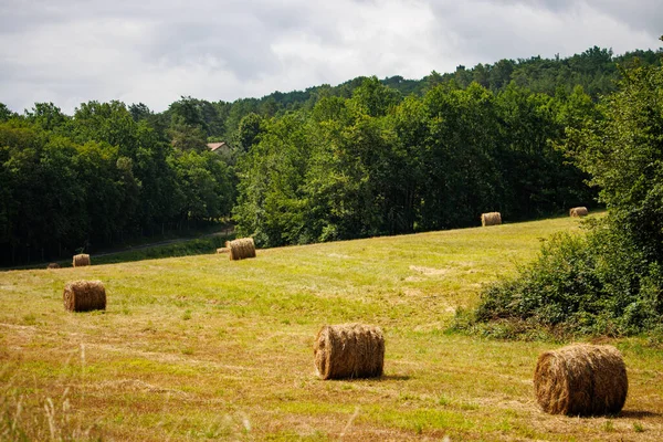 Dordogne Francia Julio 2023 Heno Bales Campos Con Antecedentes Forestales — Foto de Stock