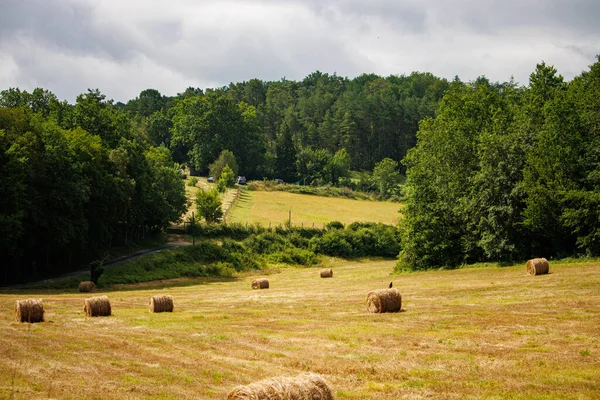 프랑스 도르도뉴 2023 Hay Bales Fields Forest Background — 스톡 사진