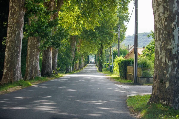 Dordogne Fransa Temmuz 2023 Kırsal Bölgedeki Ağaç Çizgili Yol — Stok fotoğraf