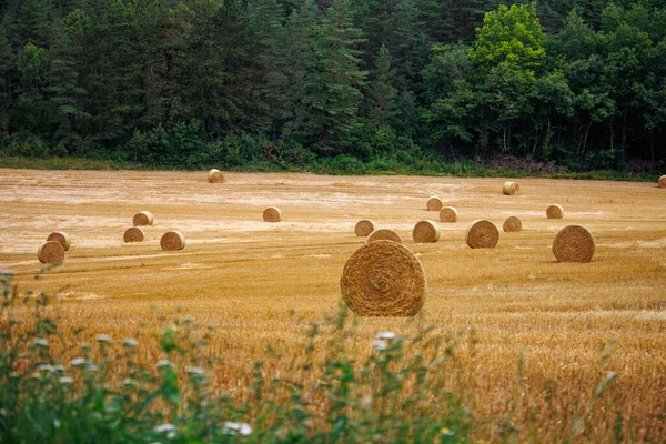 Dordogne Frankrijk Juli 2023 Hay Bales Field — Stockfoto