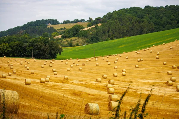 Dordogne França Julho 2023 Hay Bales Field — Fotografia de Stock