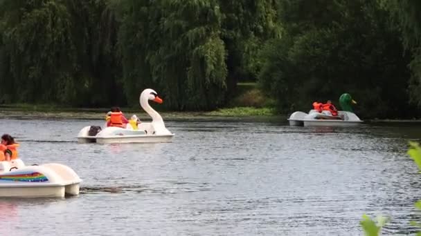 Perigueux Dordogne França Julho 2023 Famílias Barcos Pedal Forma Cisne — Vídeo de Stock