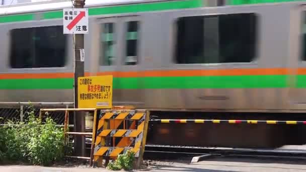 Tokio Japón Noviembre 2023 Tren Pasa Través Cruce Ferroviario — Vídeos de Stock