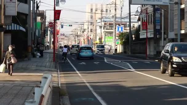 Tokio Japón Noviembre 2023 Tráfico Vehículos Pesados Hora Punta Tokio — Vídeo de stock