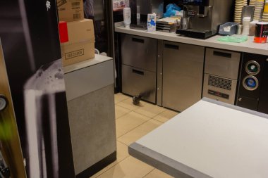 Bordeaux, Fransa 23 Ekim 2023: Kitchen Intruder - McDonald 's Kitchen Floor' da Güvercin