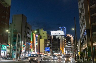 Tokyo, Japonya, 25 Ekim 2023: Tokyo 'da Neon-Lit Busy Caddesi, Gece