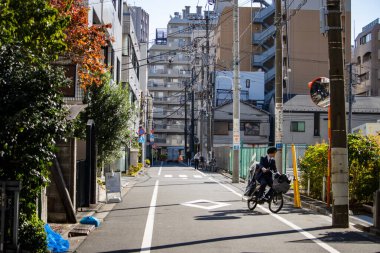 Tokyo, Japonya, 26 Ekim 2023: Sonbahar yeşillikleriyle sakin bir şehir caddesinde bisikletçi