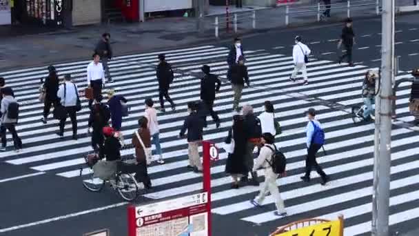 Tokyo Japon Novembre 2023 Passage Des Piétons Ueno Crossing — Video