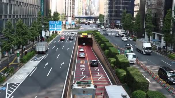 Tokio Japón Noviembre 2023 Tráfico Urbano Infraestructura Vial — Vídeo de stock