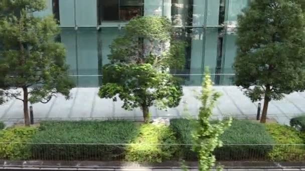 Tokio Japón Noviembre 2023 Paisajismo Vegetación Urbana Ciudad Tokio — Vídeos de Stock