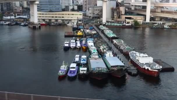 Tokyo Japan November 2023 Förtöjda Båtar Vid Flodbrygga Stadsmiljö — Stockvideo
