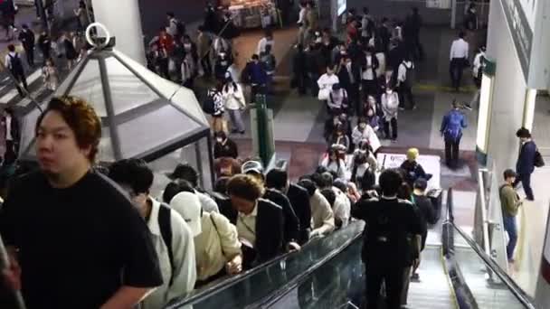 Tokyo Giappone Novembre 2023 Pendolari Una Scala Mobile Una Stazione — Video Stock