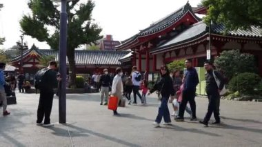 Tokyo, Japonya, 22 Kasım 2023: Shinto tapınağında yürüyen bir kalabalık